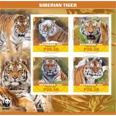 Fauna WWF Siberian tiger